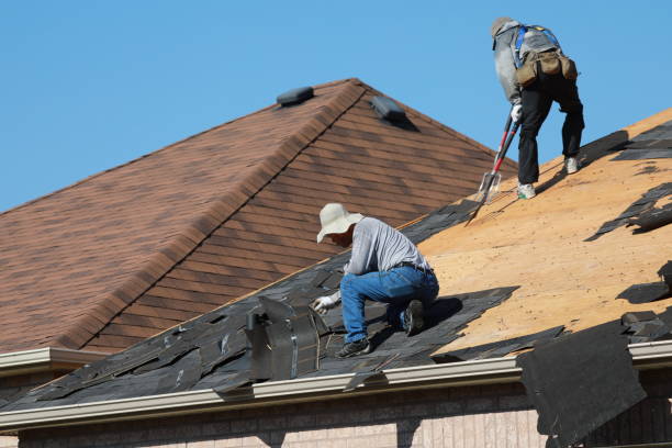 Best Roof Insulation Installation  in Greenup, KY